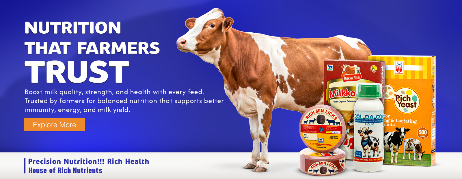 RGS Vet banner 1 (1)