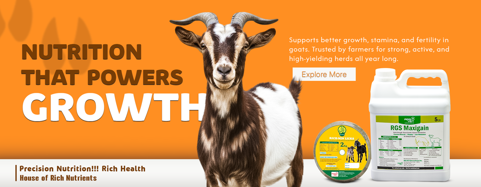 RGS Vet banner 2 (1)