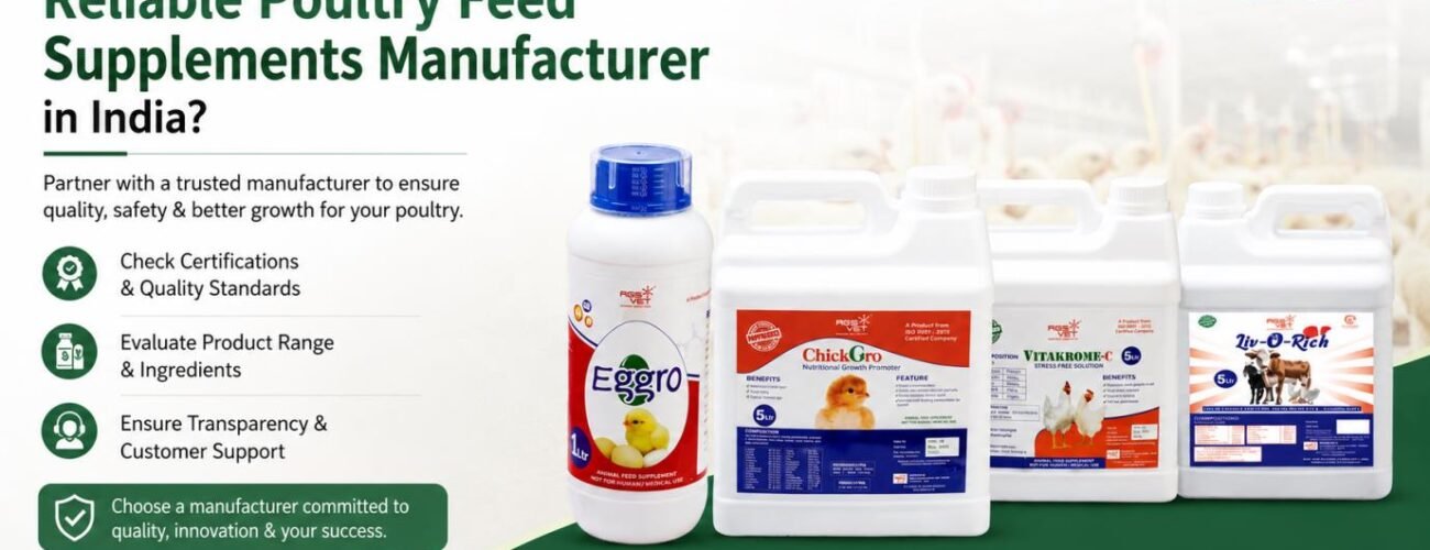 Reliable poultry feed supplements manufacturer in India for healthy poultry farming