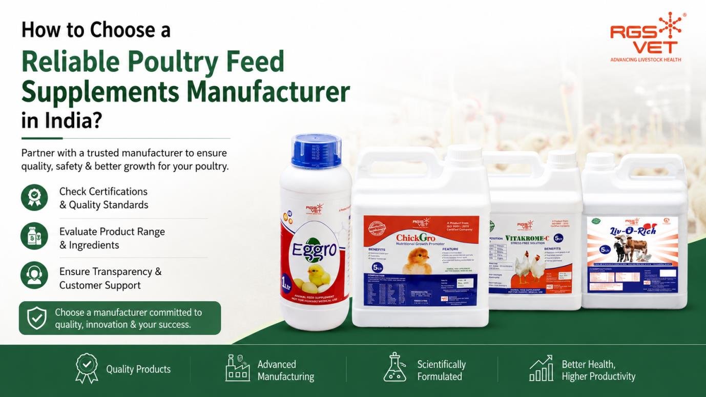 Reliable poultry feed supplements manufacturer in India for healthy poultry farming