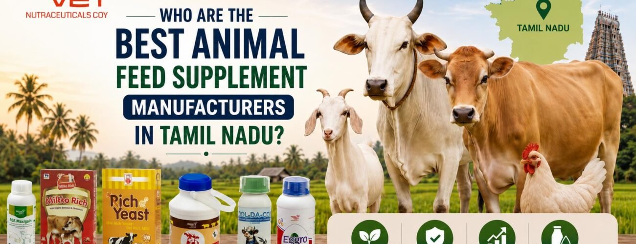 RGS VET animal feed supplements improving dairy cattle health and livestock productivity
